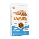 IAMS Kattenvoer Kitten Ocean Fish 3 kg