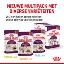 Royal Canin kattenvoer Sensory in gravy <br>12 x 85 gr