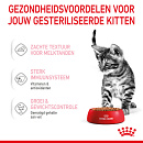 Royal Canin kattenvoer Kitten Sterilised Gravy 12 x 85 gr